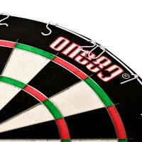 Gladiator 2 Plus Dartboard