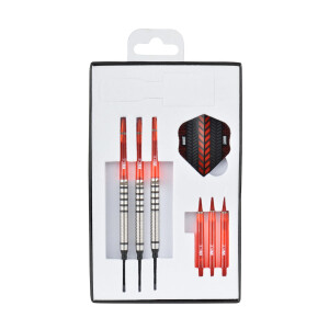 Martin Marti`s Dart softip 18g