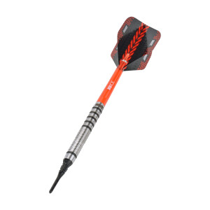 Martin Marti`s Dart softip 18g