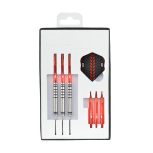 Martin Marti`s Dart steeltip 21g