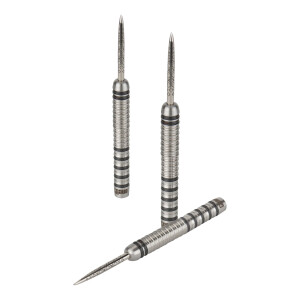 Martin Marti`s Dart steeltip 21g