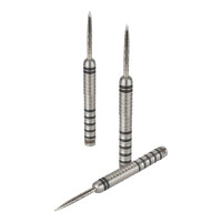Martin Marti`s Dart steeltip 21g