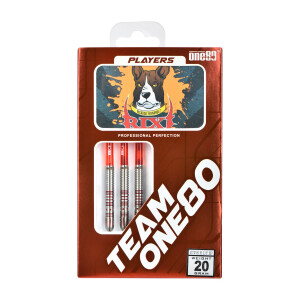 Ricardo (Rixi) Steeltip 20g