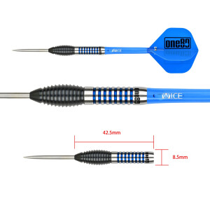Gary Stone Steeltip 21g