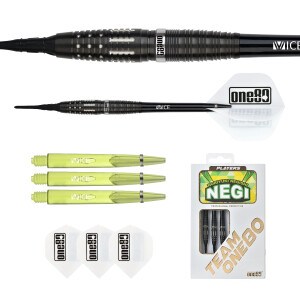 Noriyuki Negishi Softip 19g (2BA)