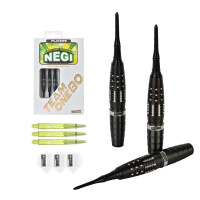 Noriyuki Negishi Softip 19g (2BA)