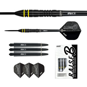 Raise B - BYL Steeltip 21g