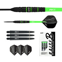 Raise B - BGR Steeltip 21g