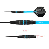 Raise B - BAQ Steeltip 21g