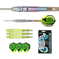 Chameleon Sunny Steeltip 22g