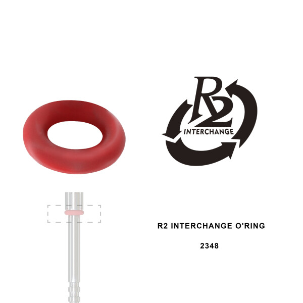 R2 Interchange ORing - (20pcs)