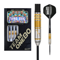 Tung Suk Steeltip 23g (Black/Gold)