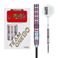 Ryo Nakai Steeltip 24g