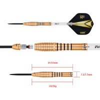 R2 interchange Re-silience Steeltip 25g