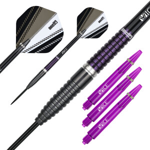 Damian Mol Steeltip 24g