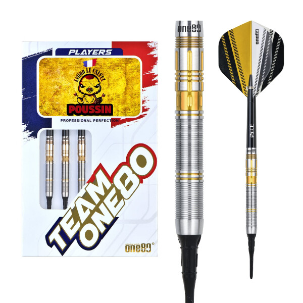 Lylian Le Calvez Signature Dart Softip 17.5g