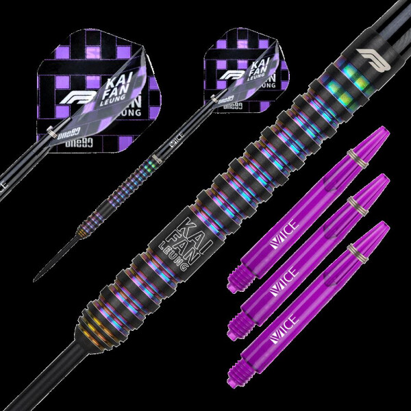 FB Leung V2 Signature Steeltip