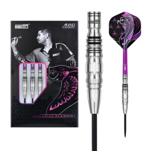 Jelle Klaasen V2 VHD Steeltip 22g