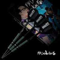 FB Leung V3 Signature Dart Steeltip 24g