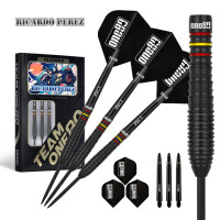Ricardo Perez V2 Steeltip 22g