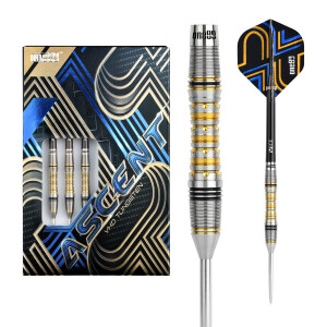 Ascent 04 Steeltip 24g